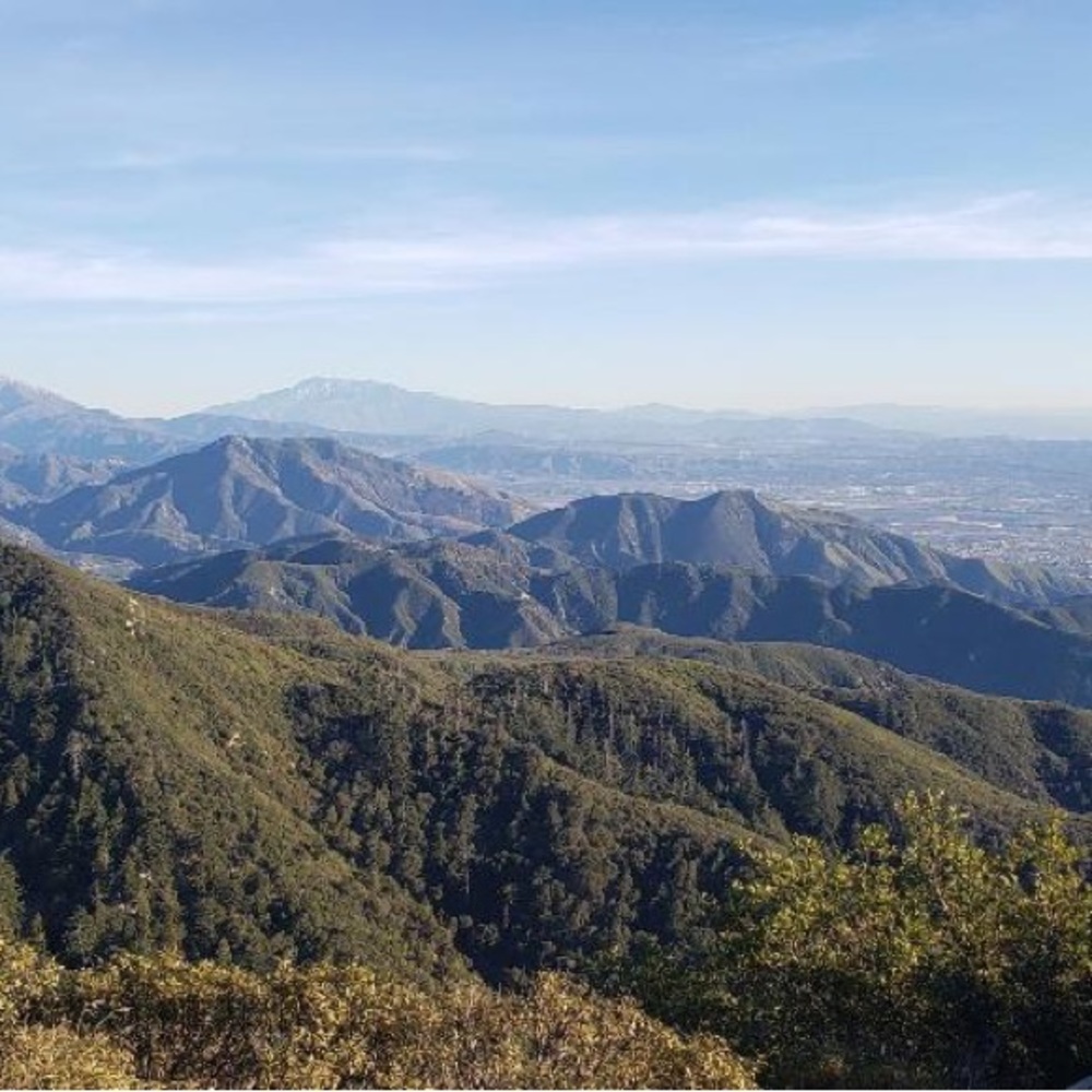 Meet your Posher, Clarice